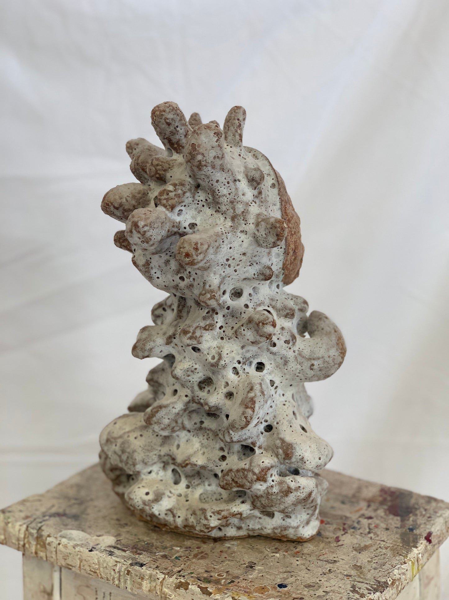 Hedgehog (Made to Oder)